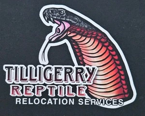 Tilligerry Reptile Relocation Service